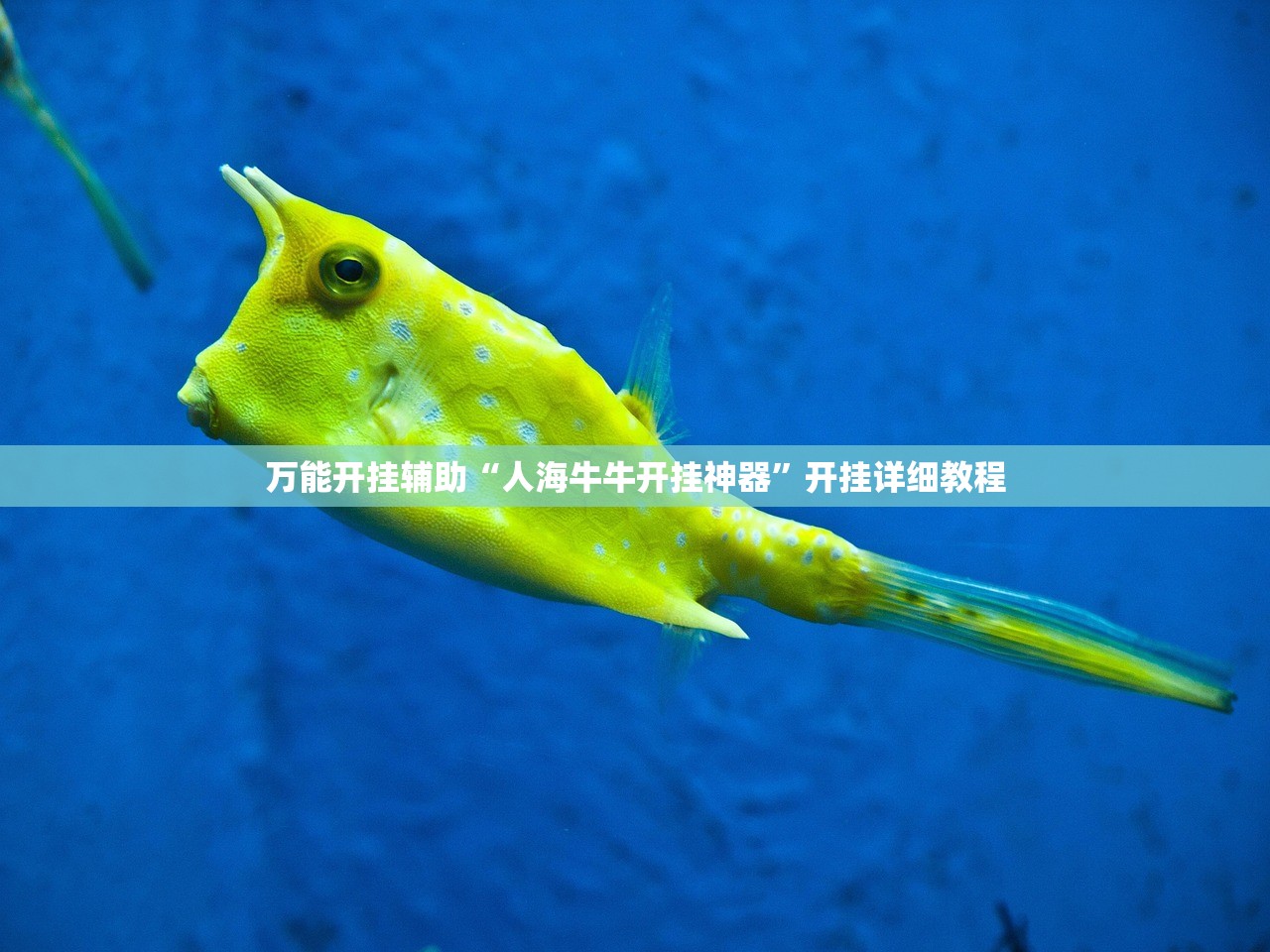 万能开挂辅助“人海牛牛开挂神器	”开挂详细教程