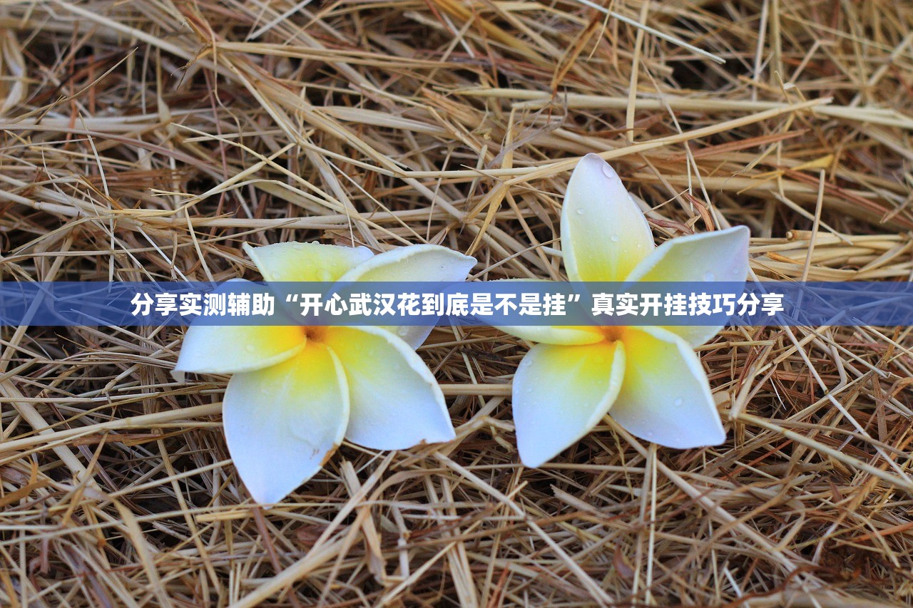 推荐一款“新八戒金花能安装透视挂吗”2026透视开挂