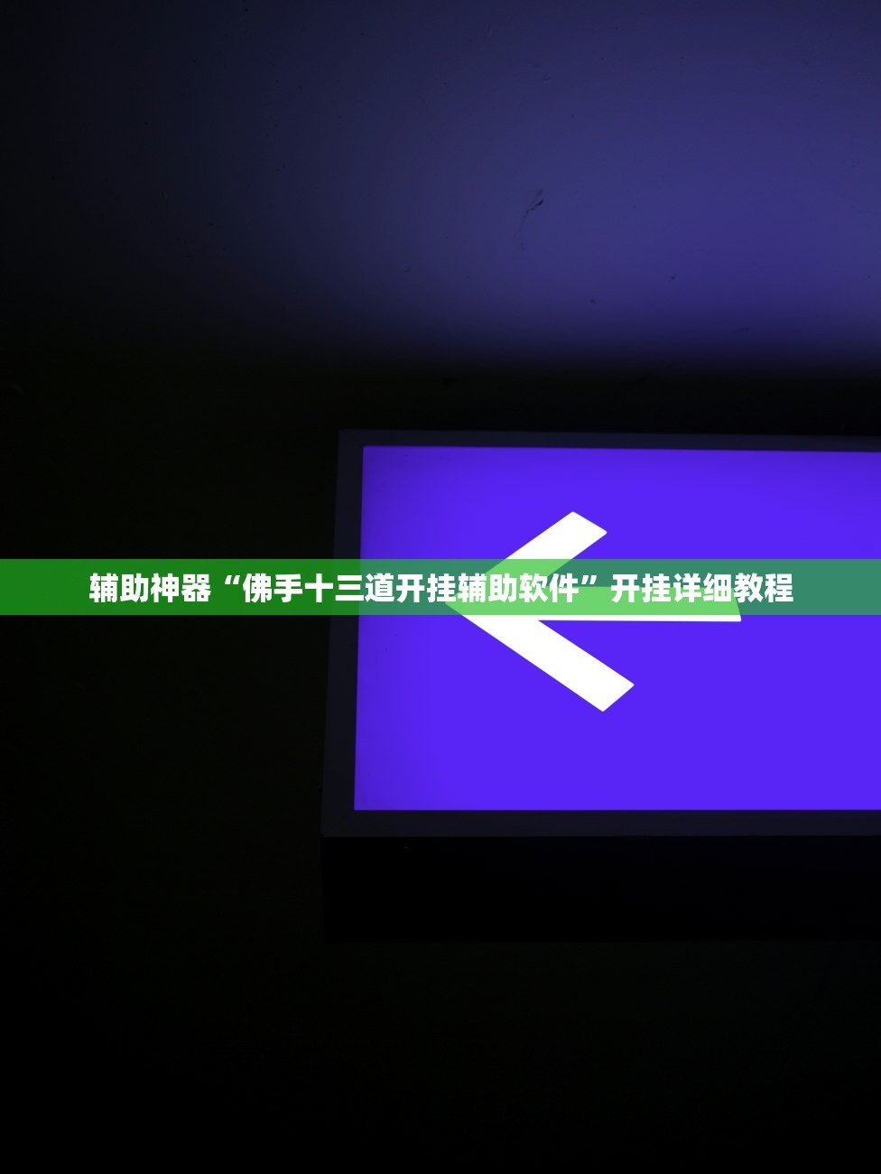 辅助神器“佛手十三道开挂辅助软件”开挂详细教程