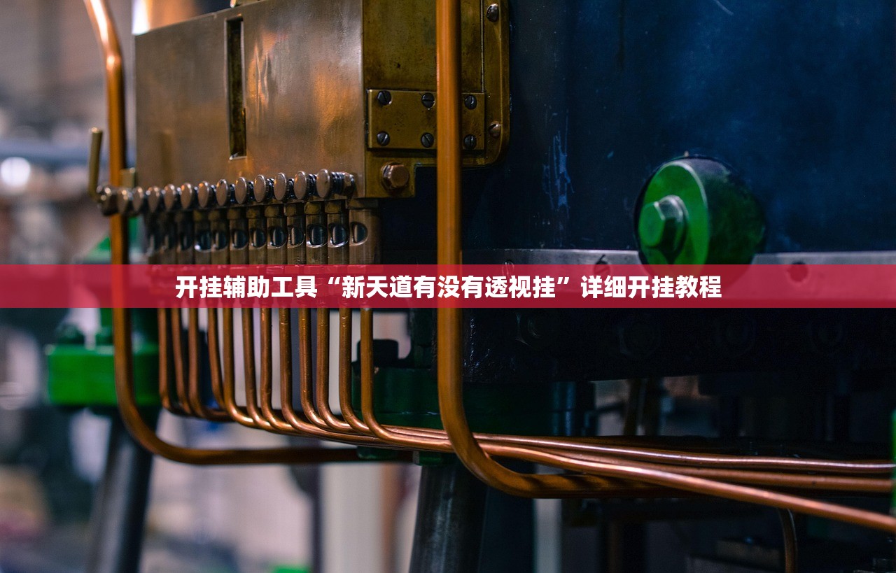 开挂辅助工具“新天道有没有透视挂”详细开挂教程
