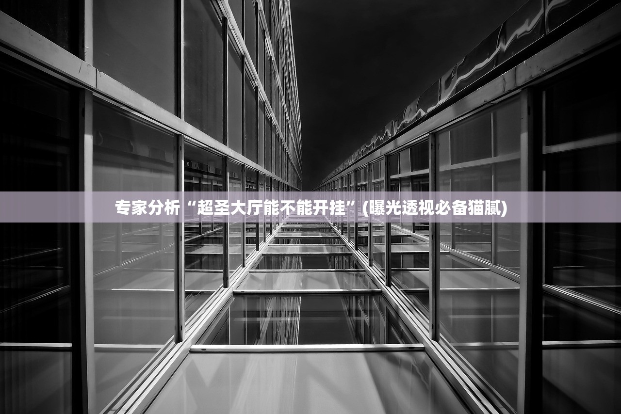 专家分析“超圣大厅能不能开挂”(曝光透视必备猫腻)