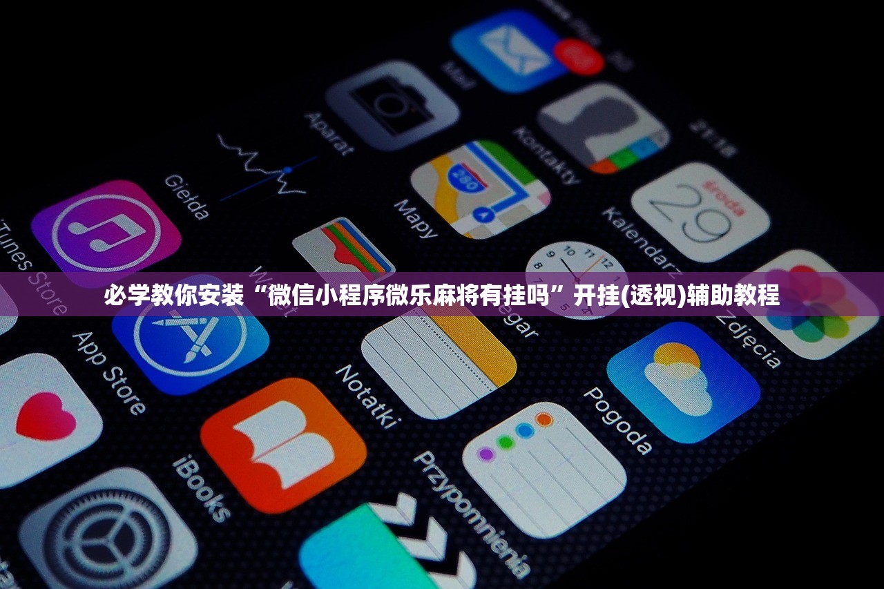 必学教你安装“微信小程序微乐麻将有挂吗	”开挂(透视)辅助教程