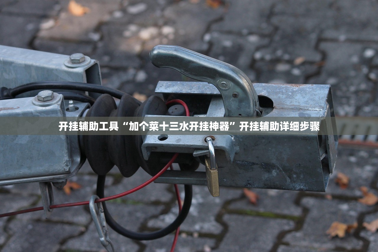 开挂辅助工具“加个菜十三水开挂神器”开挂辅助详细步骤