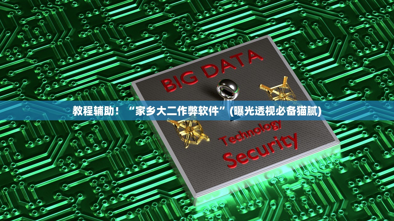 教程辅助！“家乡大二作弊软件”(曝光透视必备猫腻)