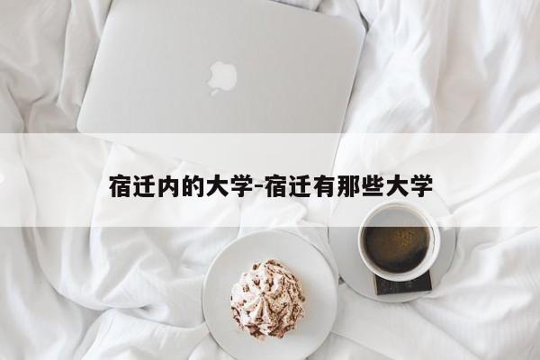 宿迁内的大学-宿迁有那些大学