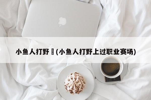小鱼人打野︰(小鱼人打野上过职业赛场)