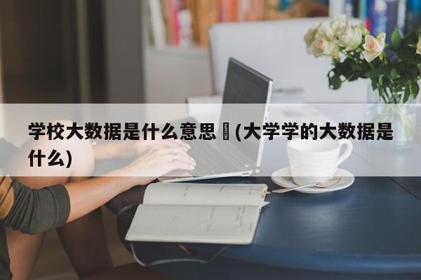 学校大数据是什么意思︰(大学学的大数据是什么)